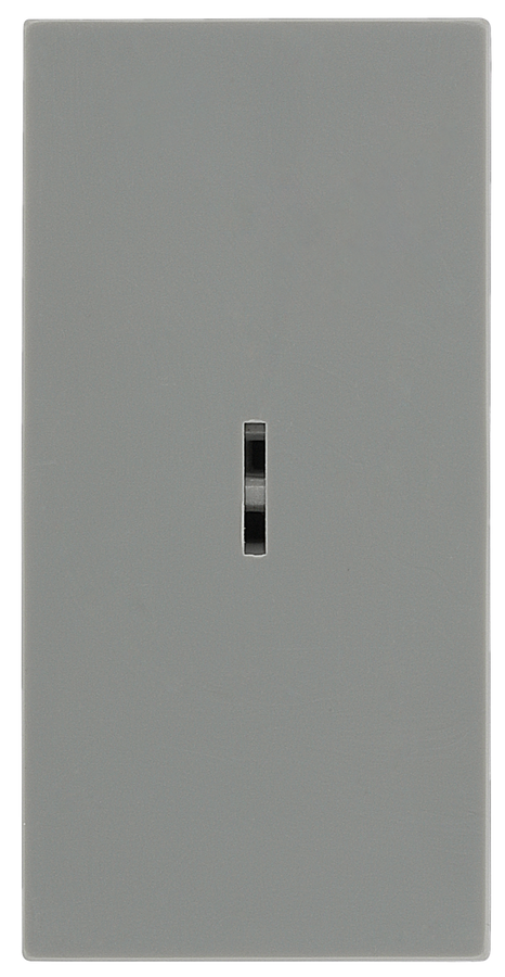 BG EMSW12KYG Euro Module 20AX 2-Way Key Switch - Grey