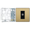 BG Evolve Satin Brass Single Co-Axial Socket PCDSB60B with 35mm Steel Back Box