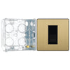 BG Evolve Satin Brass 1 Gang Secondary Telephone Outlet PCDSBBTS1B with 35mm Steel Back Box