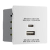 BG Nexus Antique Brass 45W USB Wall Socket Euro Module USB-A & C - White Insert