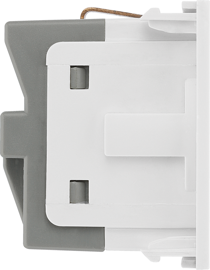 BG EMSCHSW Euro Module 16A Schuko Unswitched Socket - White – The ...