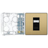 BG Evolve Satin Brass RJ45 Cat6 Single Data Outlet PCDSBRJ451B with 35mm Steel Back Box