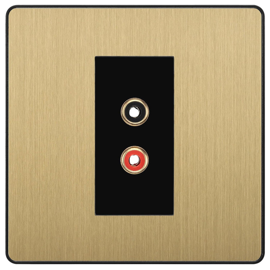 BG Evolve Satin Brass Euro Module RCA X 2 Outlet PCDSBRCA2B